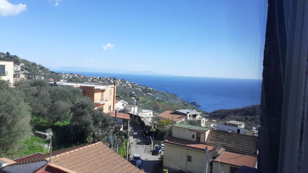Il Quadrifoglio *