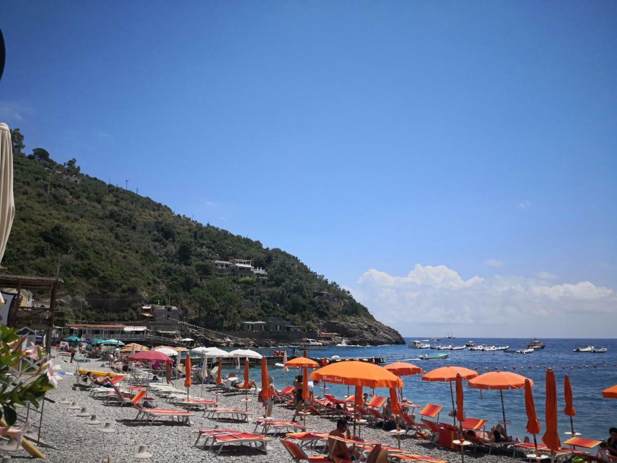 Il Quadrifoglio Holiday home